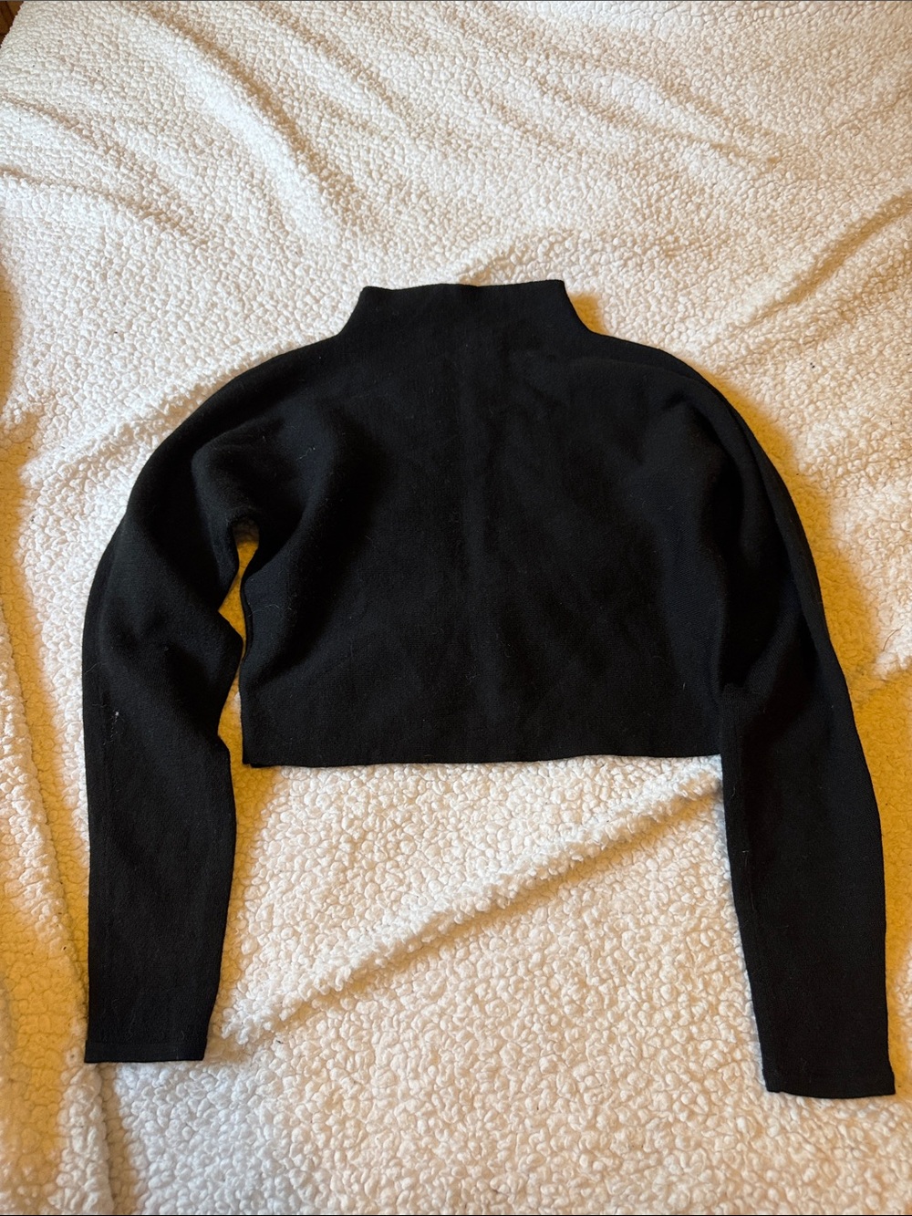 Club Monaco Black Cropped Turtleneck Sweater